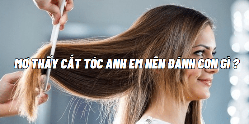 Mơ thấy cắt tóc anh em nên đánh con gì